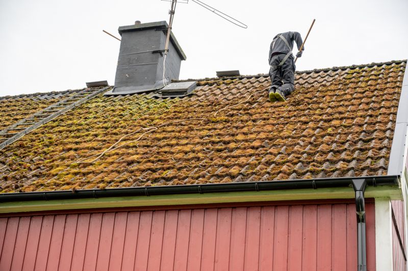 Roof Cleaning