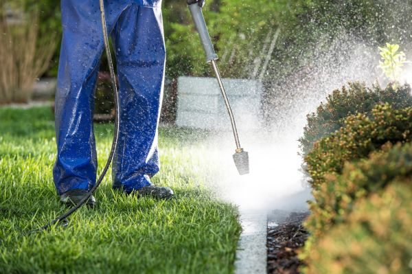 Cost of Curb Cleaning in Crestview