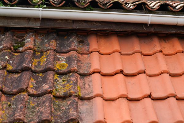 Cost of Industrial Roof Cleaning in Crestview